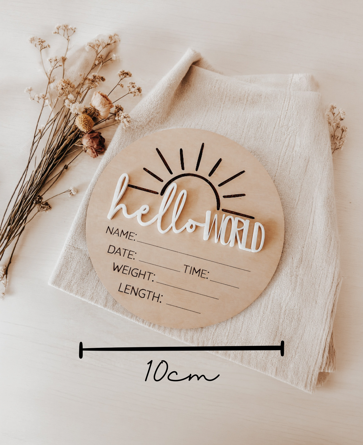 Hello World wooden disc